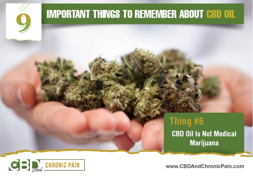  what you need to know about CBD
